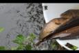 Img 9999
